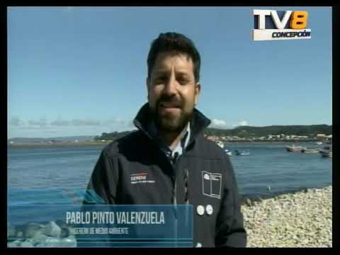 Noticias Las Entrevistas a Notas Ferepa Biobío 16 03 2026