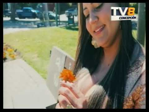 Noticias Las Entrevistas a Maria Betania Artista y Cantante B1 10 02 2026