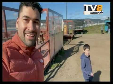 Entrevista en Las Noticias Notas Varias B2 24 12 2025