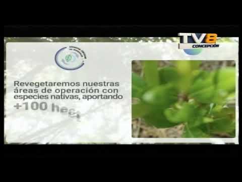 Noticias «Las Entrevistas».