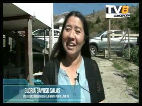 Noticias Las Entrevistas a Notas Ferepa Biobío 08 04 2026