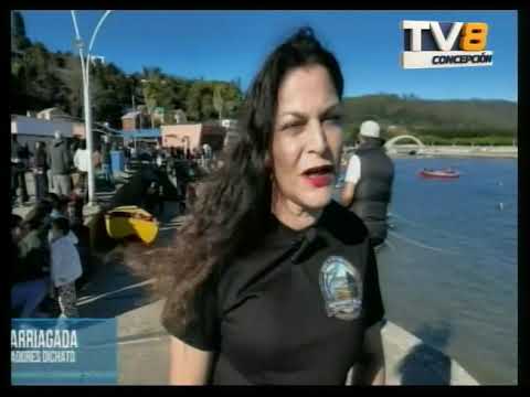 Noticias Las Entrevistas a Notas Ferepa Biobío 08 07 2026