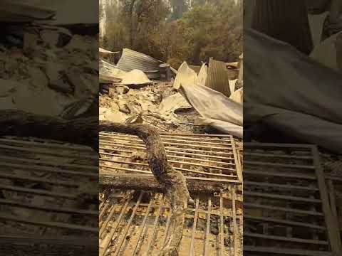 Videos de Ayuda a Los Damnificados Por Los Incendios En Penco 2026 4…