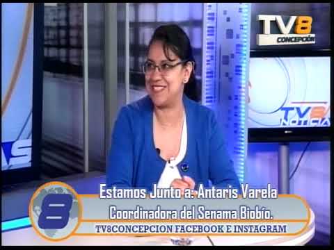 Noticias Las Entrevistas a Antaris Varela Coordinadora Senama Biobío 04 09 2026